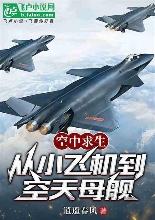 空中求生：从小飞机到空天母舰